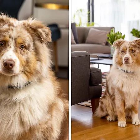 Boutique Centre 4* Colmar