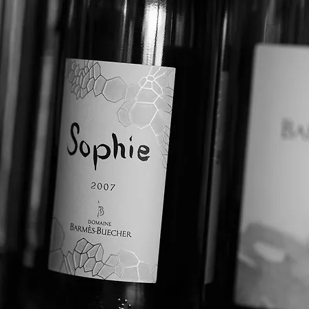 Boutique Centre 酒店 科尔马